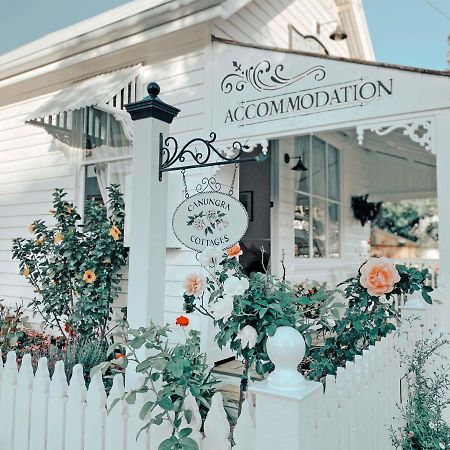 Canungra Cottages - Boutique Bed And Breakfast Экстерьер фото
